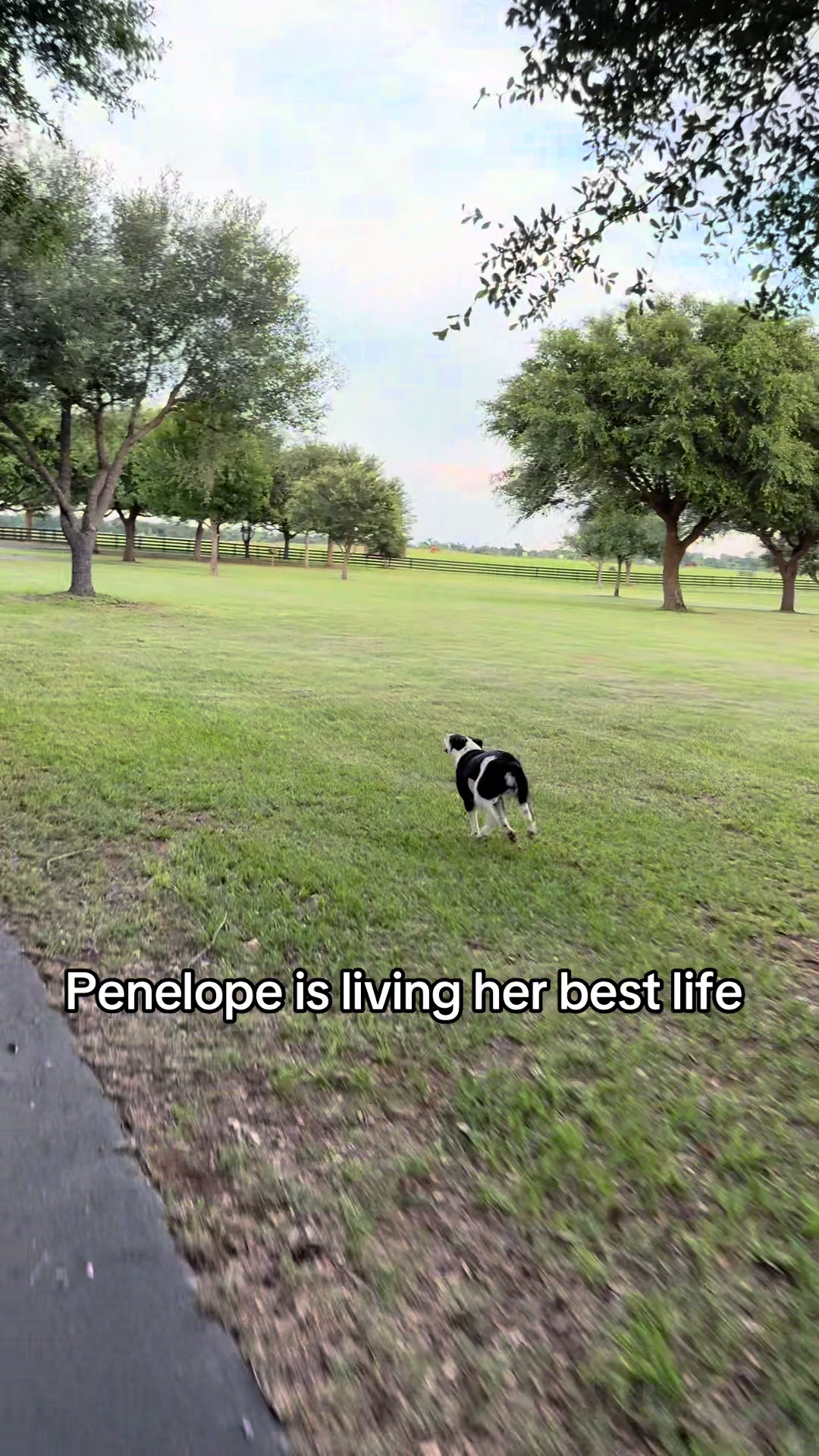 @bestlifetexas