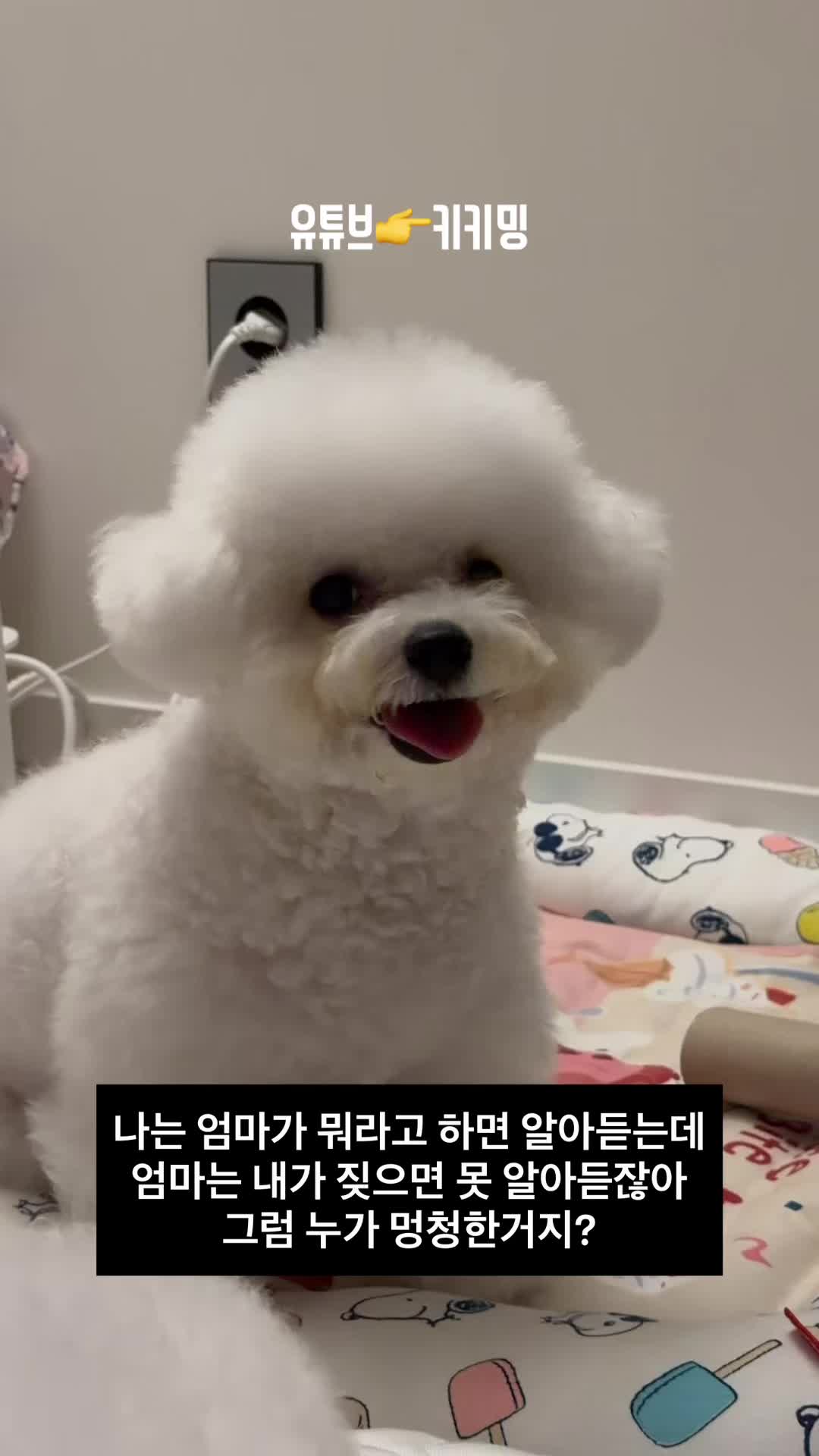 @jeju_kiki