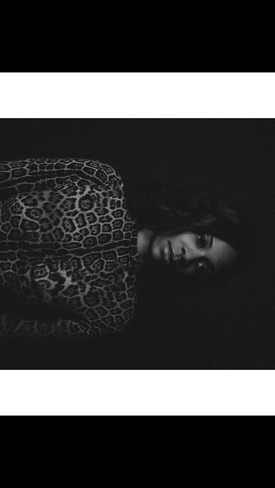 @p.lensphotography