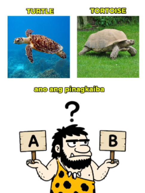 @Tagalog Caveman