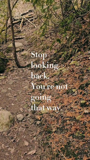 @🍃ShanesWorld🍃