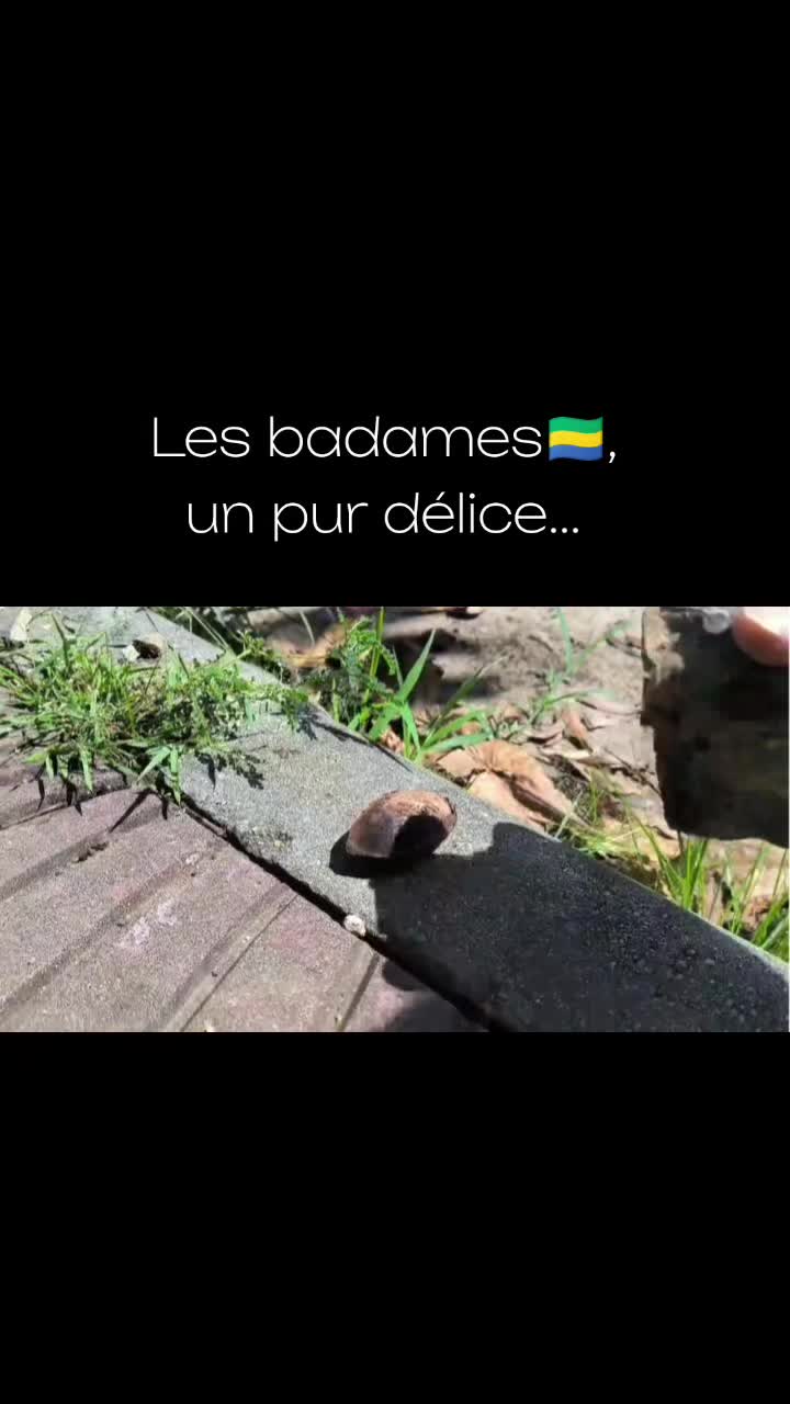 @Gabon, mon héritage