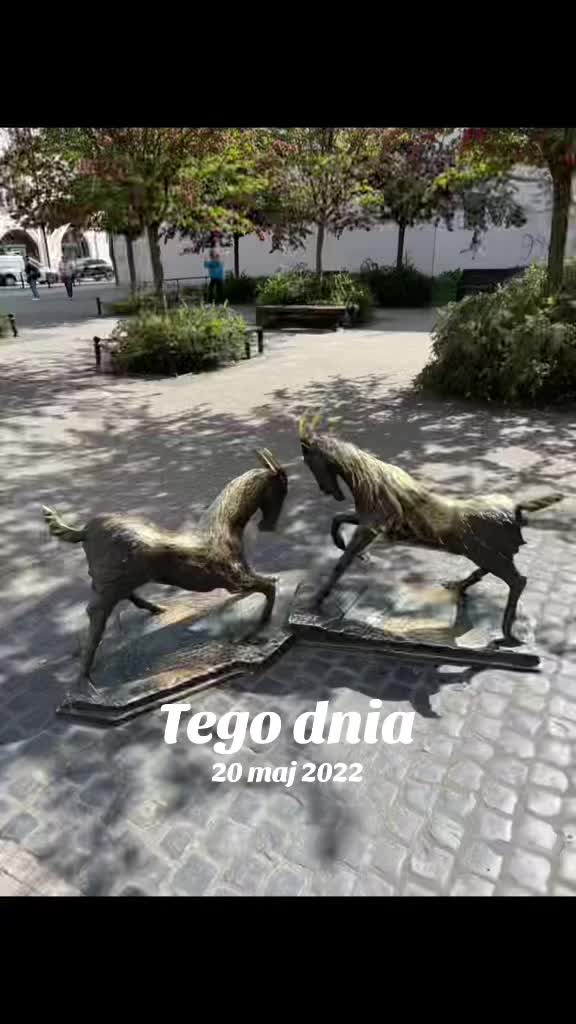 @Tomcia Zbuntowany Anioł 😈