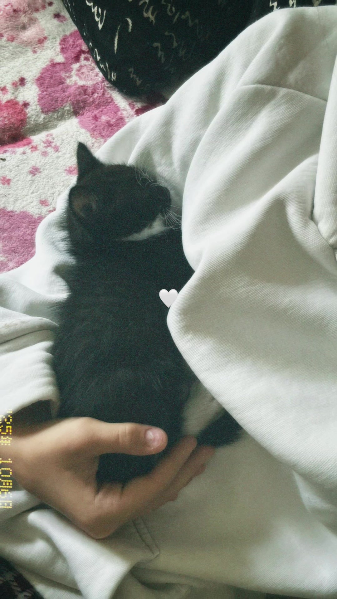 @Мариуаша