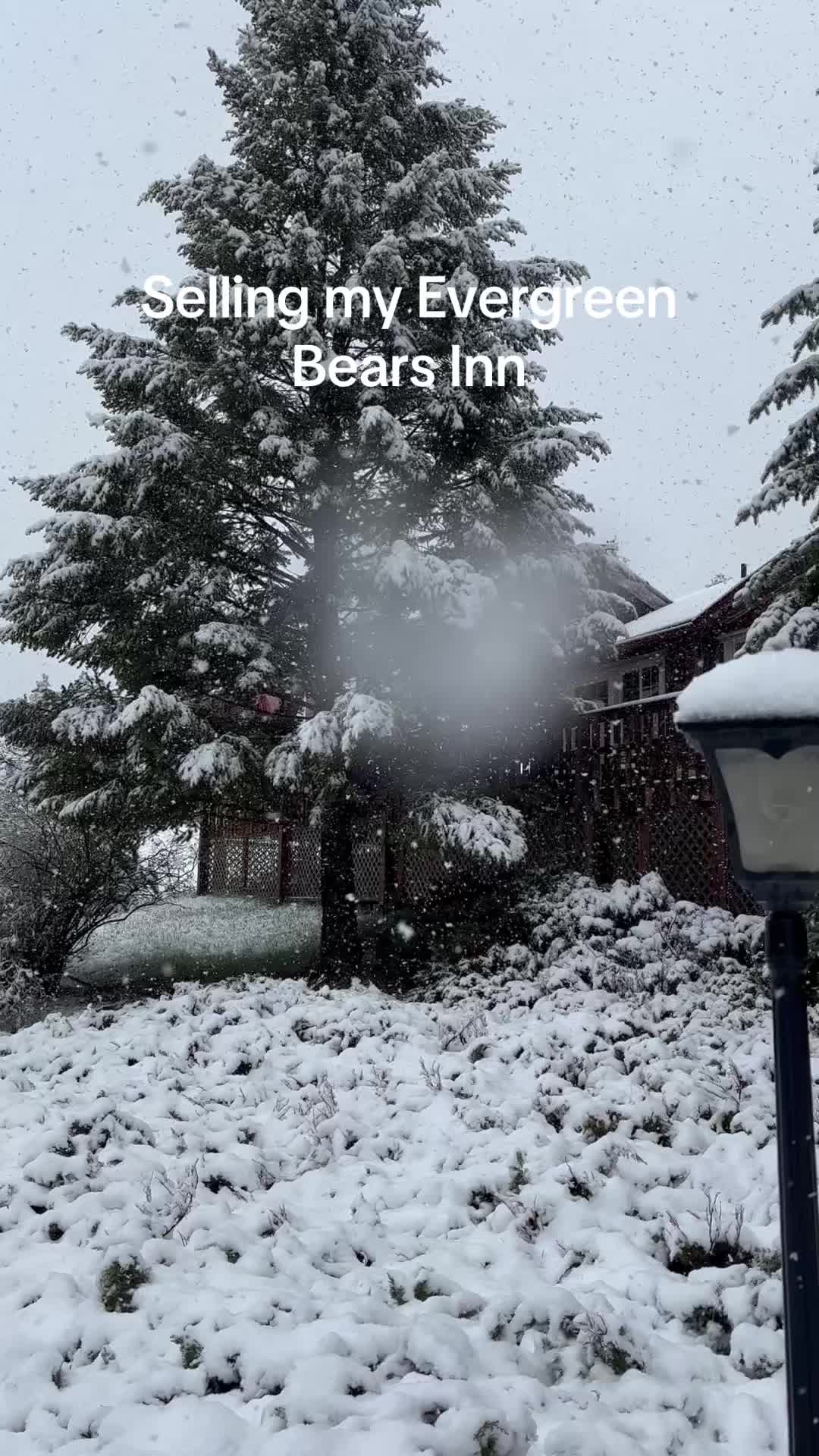 @cstull13