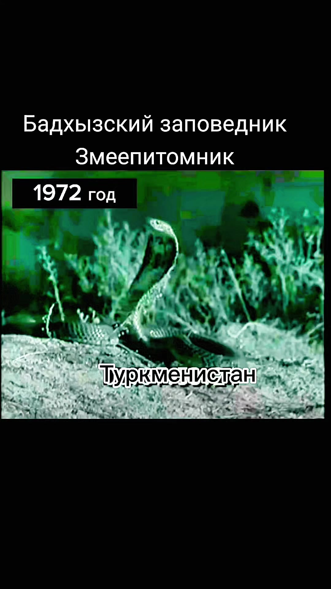 @Merdan Kakabaýew