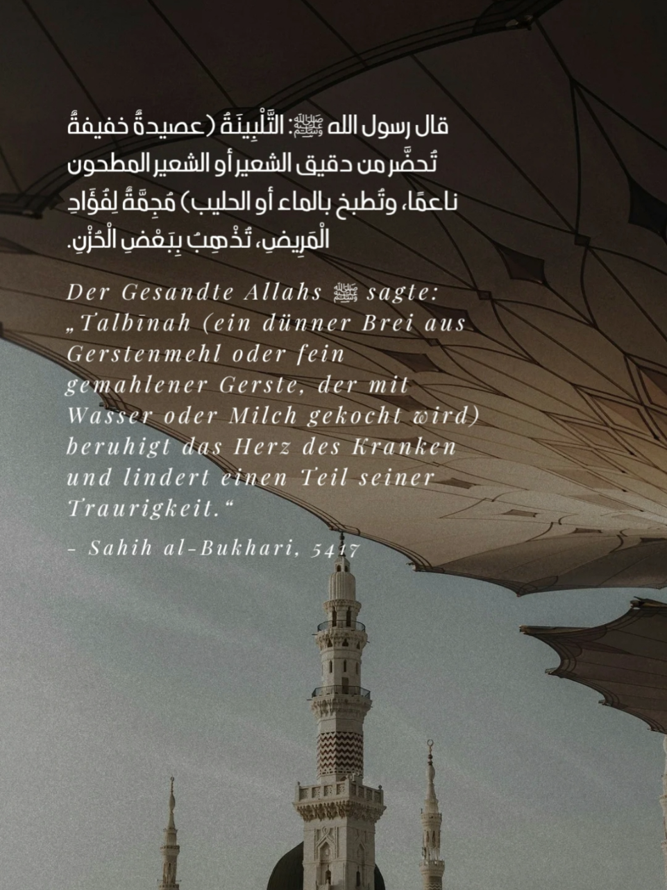 @Koranverse & Hadithe
