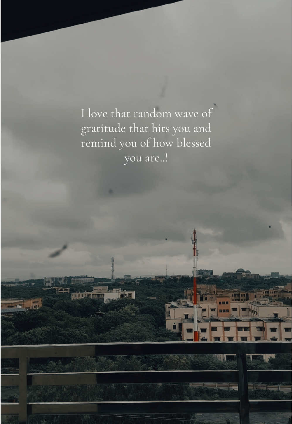 @💜🦋
