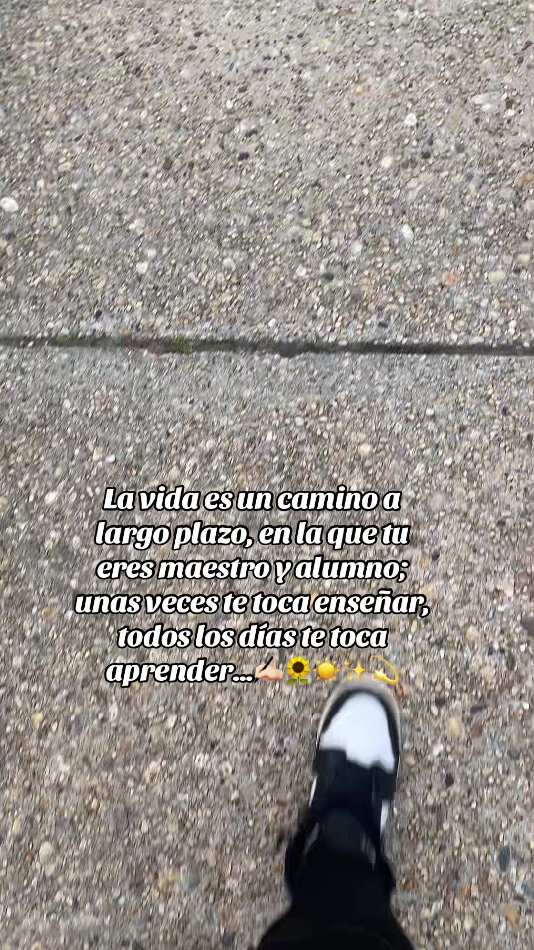 @💛Bonita_Girasol91