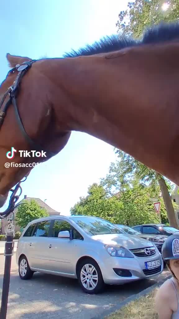 @Laura..Bijker