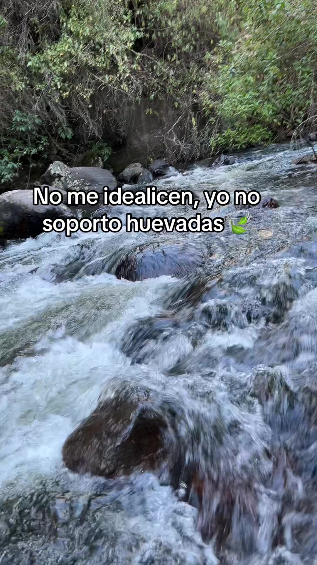 @Silvia Varela