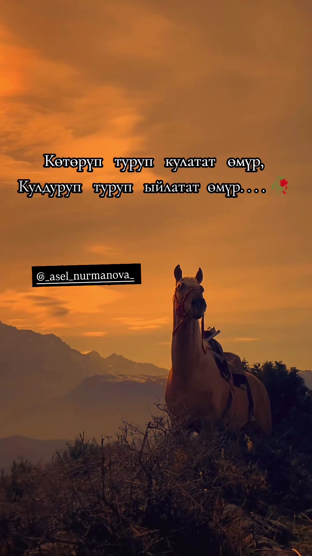 @_asel_nurmanova_