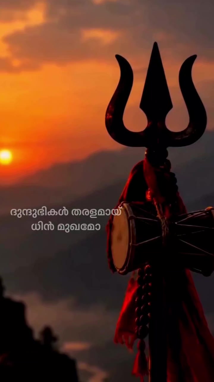 @q8mallu20