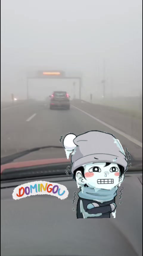 @meirecastilho932