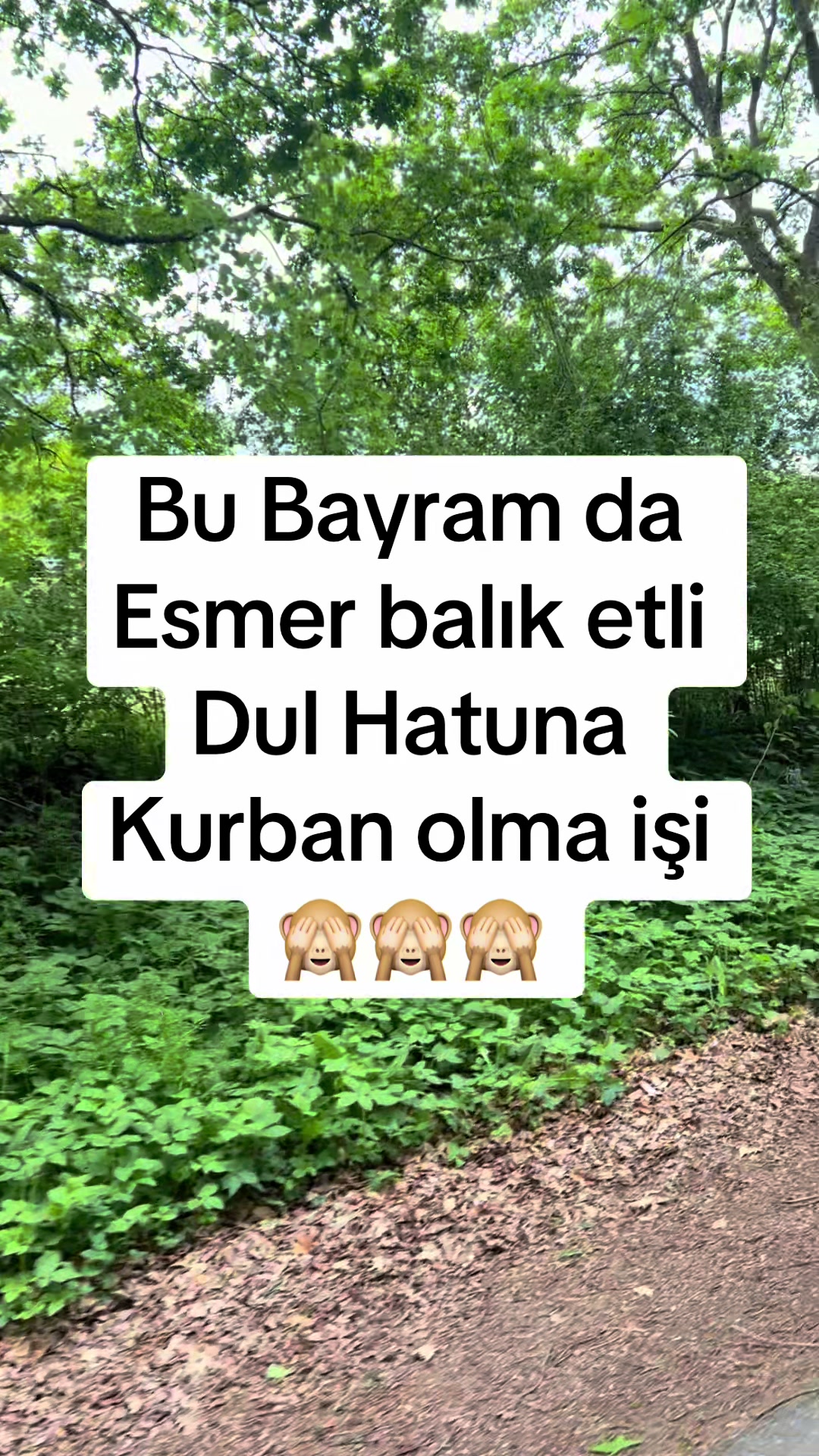 @✌️✌️✌️✌️🇩🇪🇩🇪🇹🇷🇹🇷