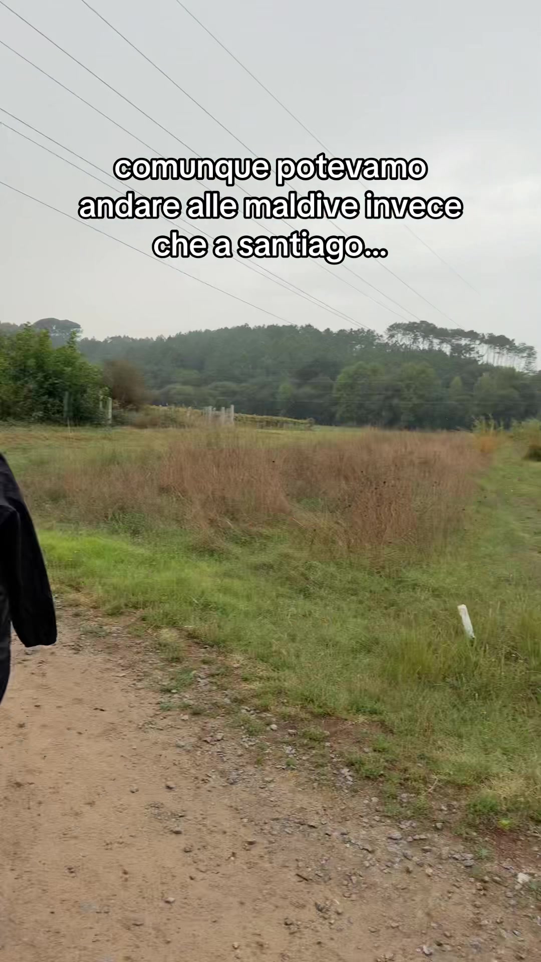 @tom🦖