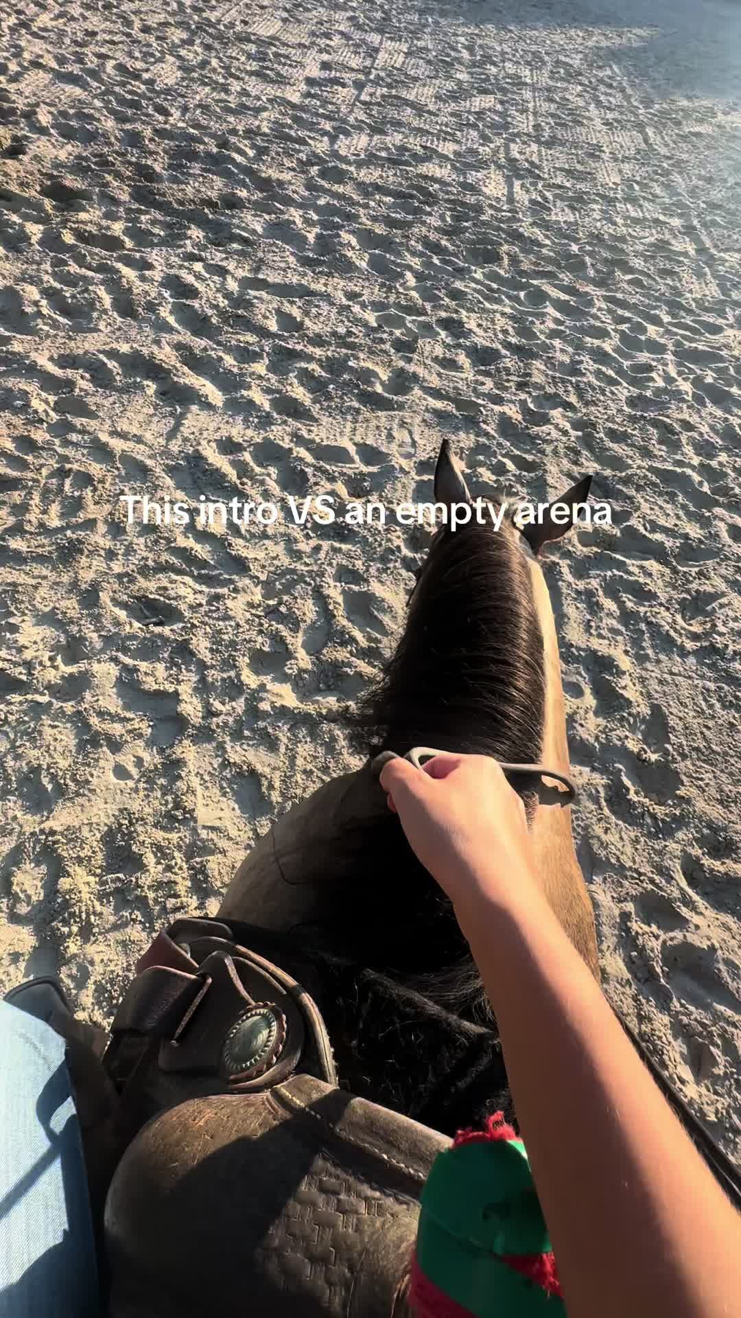 @ellibenny_