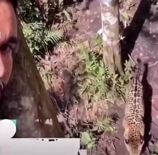 @爪山乇几ᗪ山卂