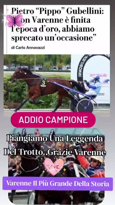 @vitovillani5