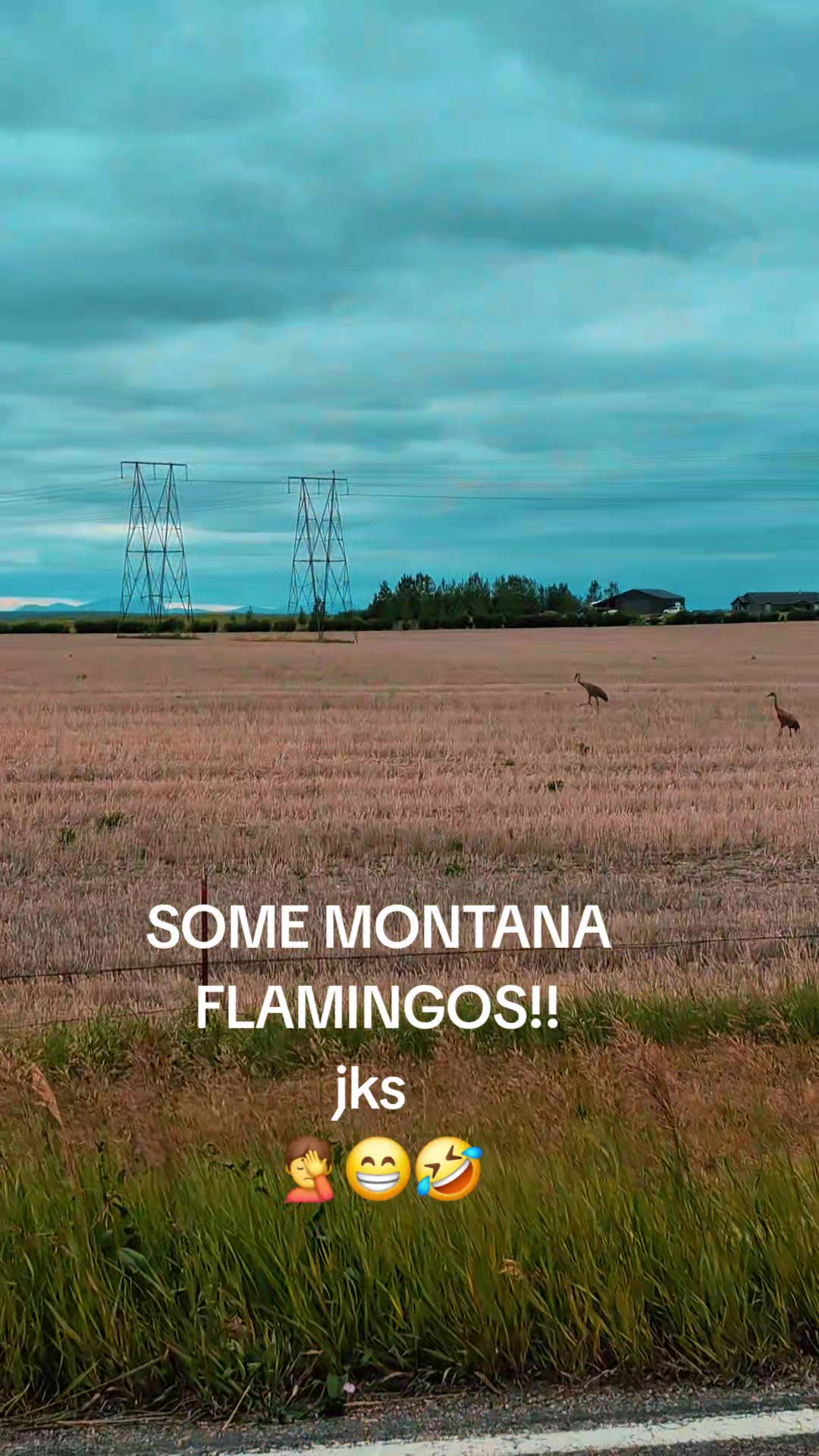@M O N T A N A