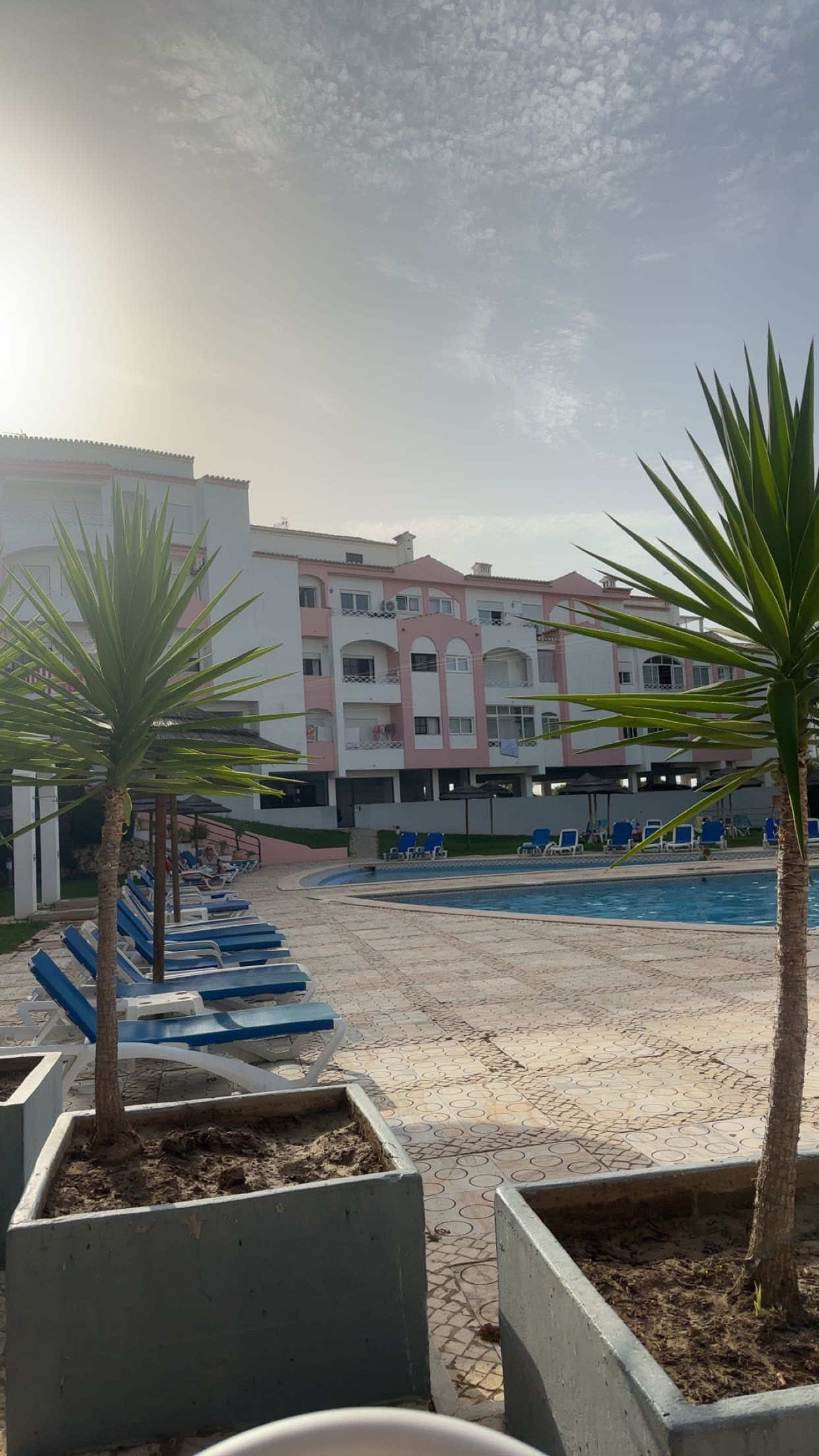 @LINCKY🏝️🌺🦜🥭