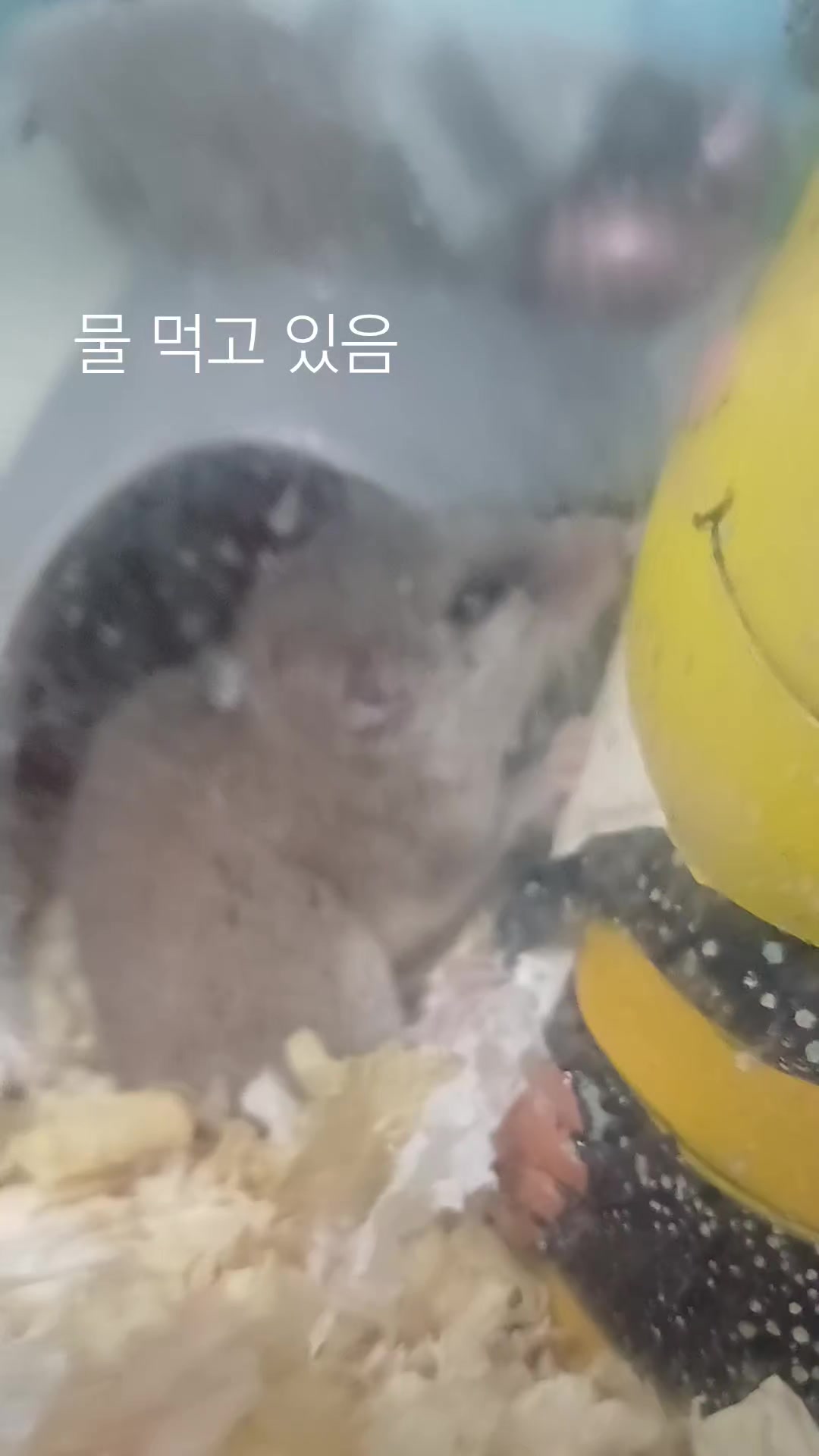 @나의 갓생 사는 동물 스토리