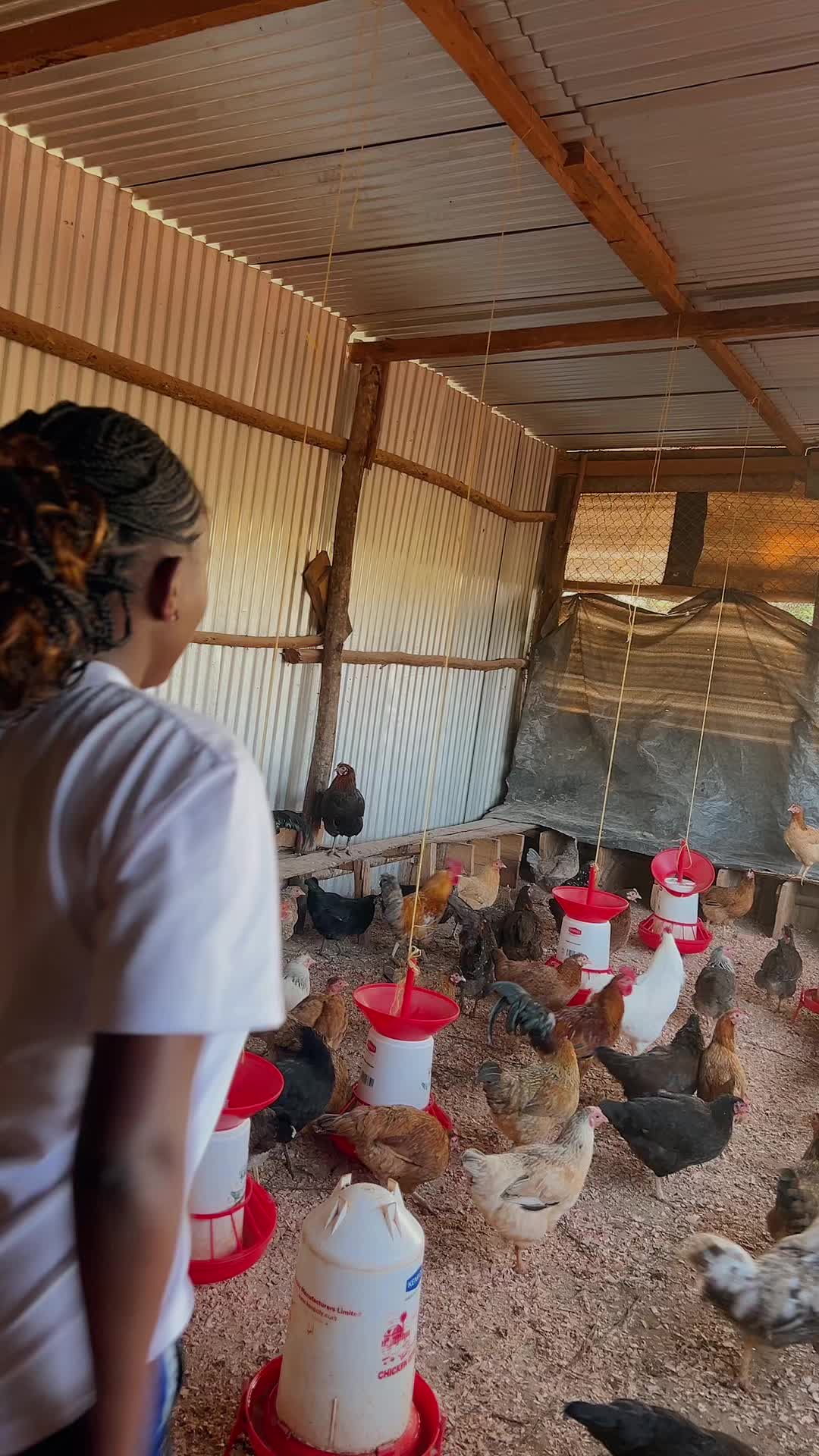 @kimasmartfarmsltd