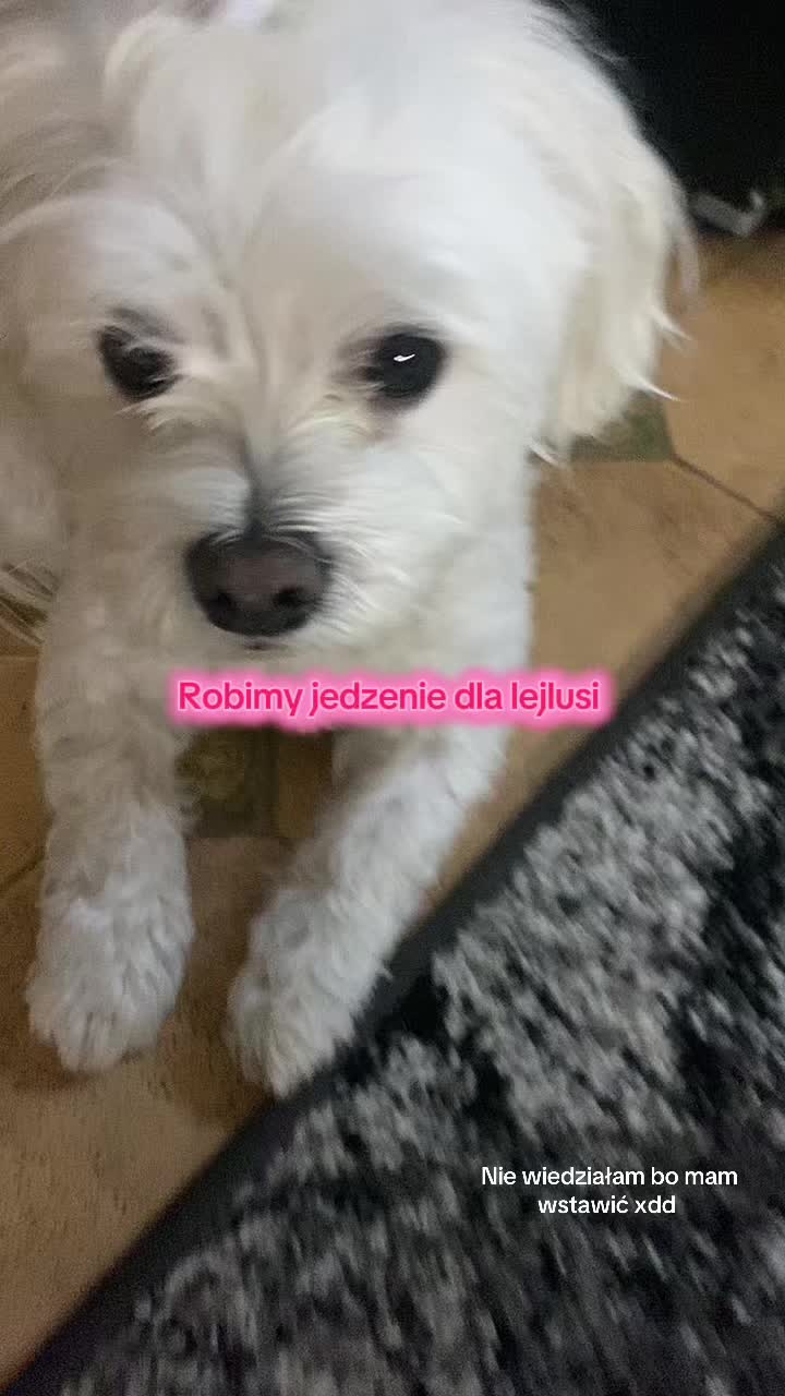@โ๐ฉ๐๐๐๐๐&๐๐๐๐๐๐ชโ