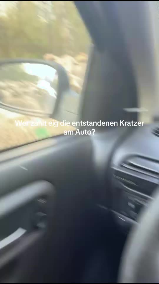 @jsssdrwg