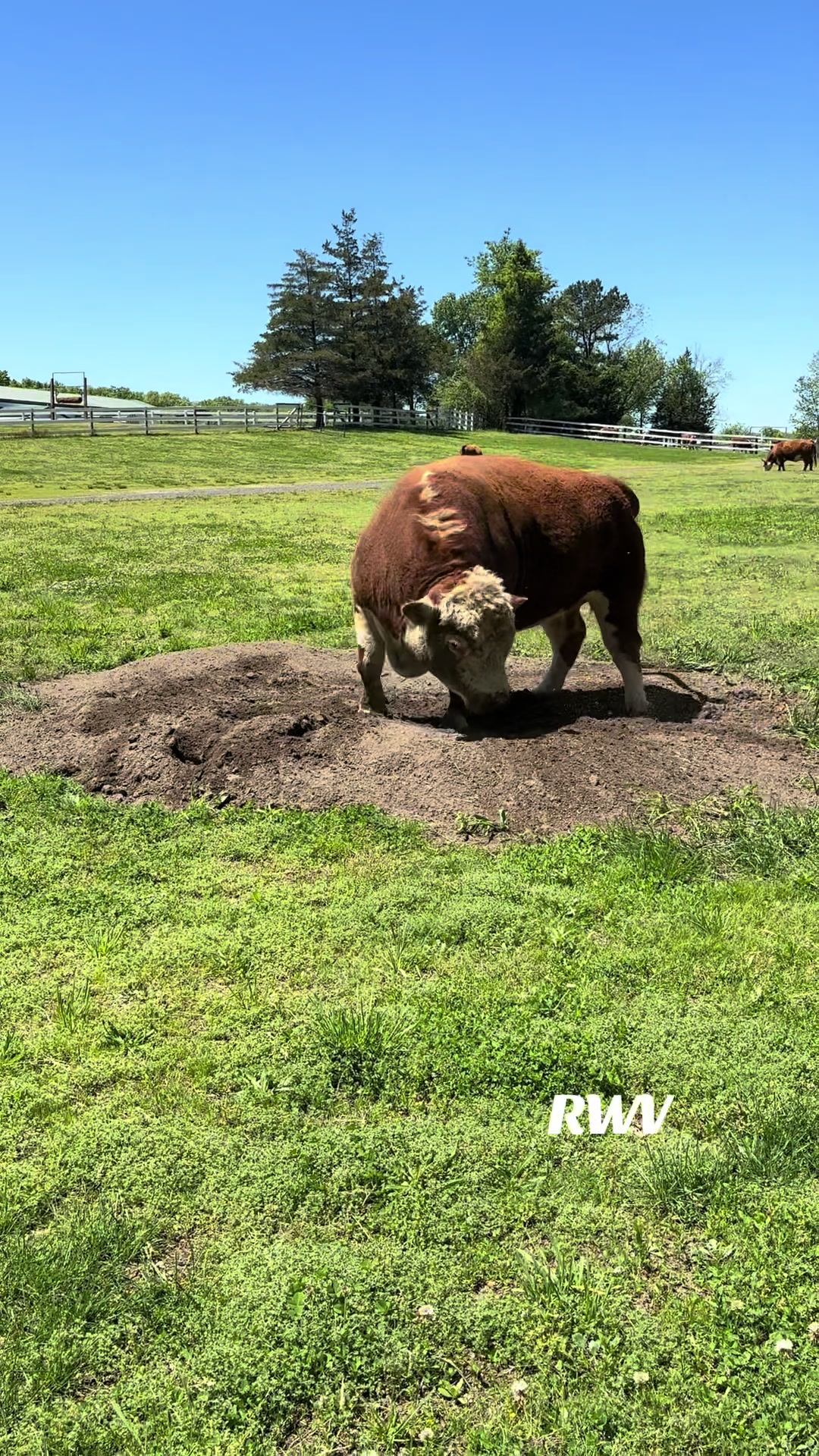 @RWV Land & Livestock