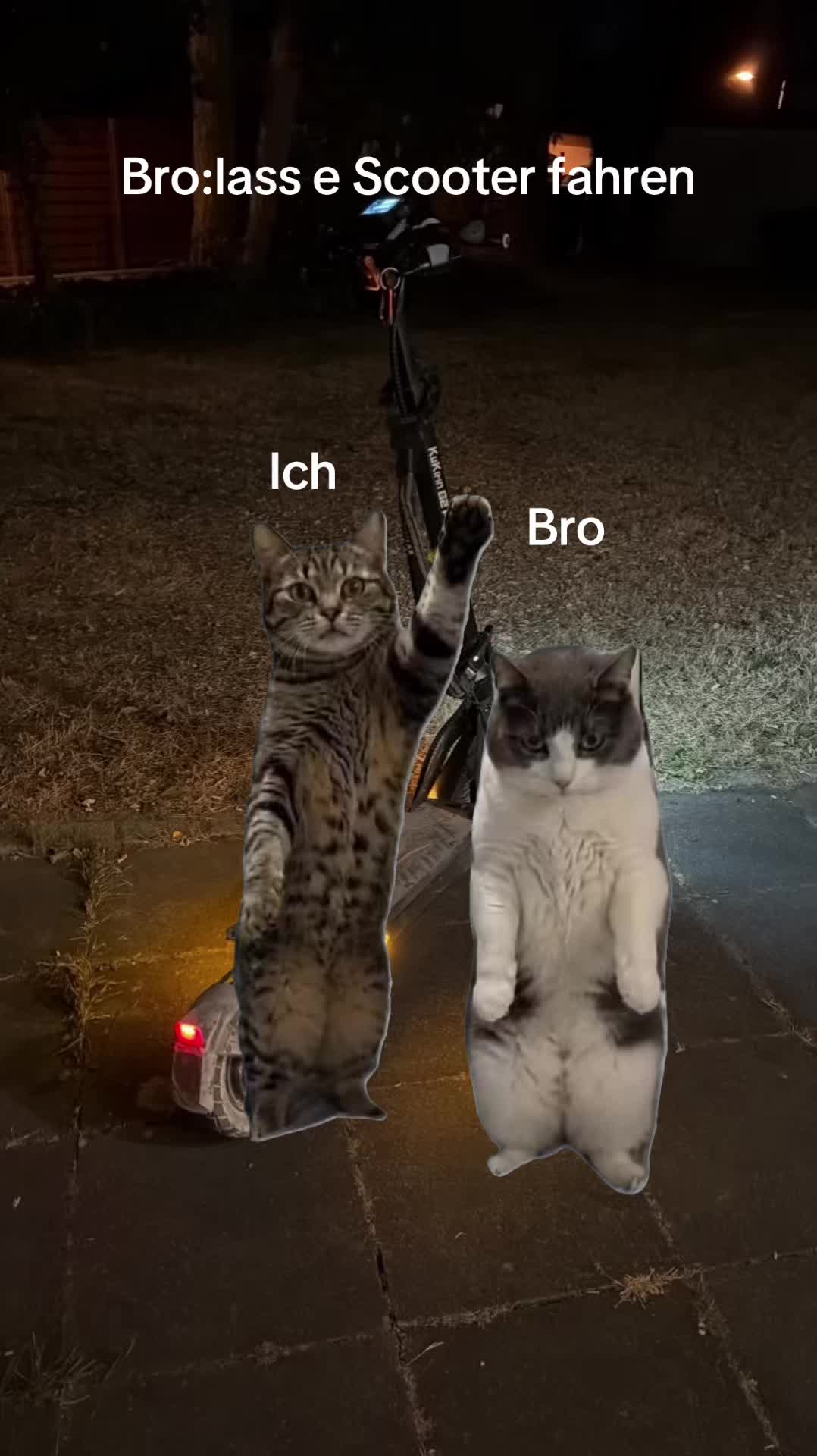 @Kukirin_koeln