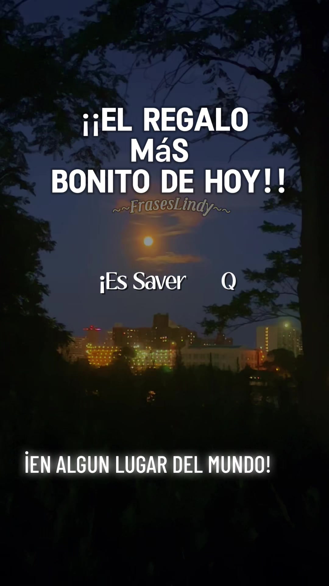 @elviramizhquiri63