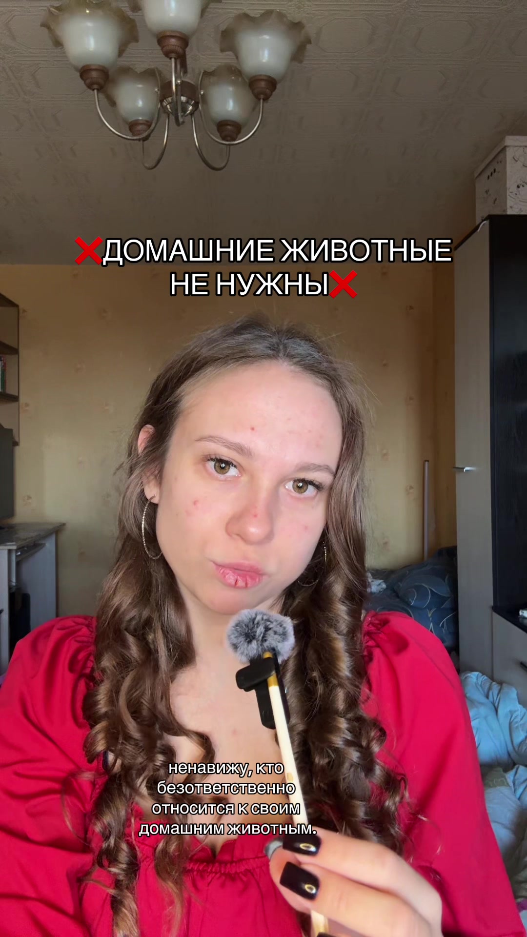 @gazluuka