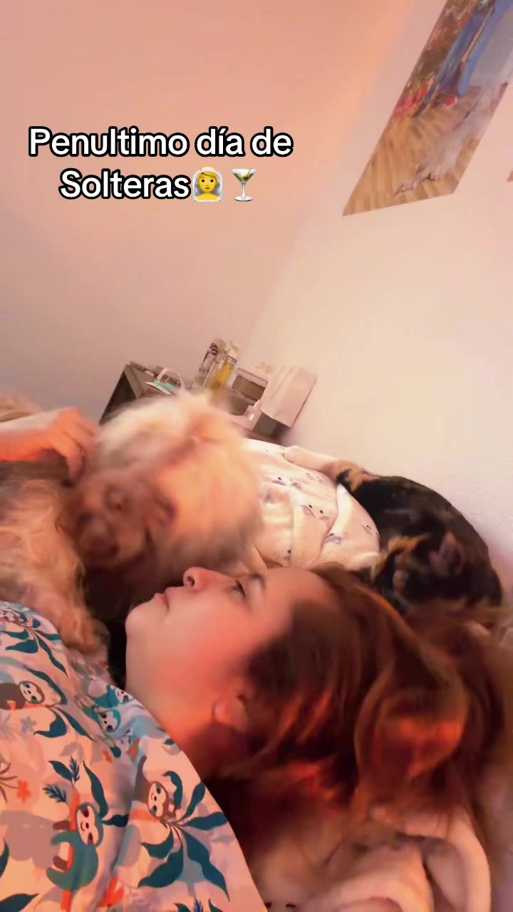 @Krazypaws🐾