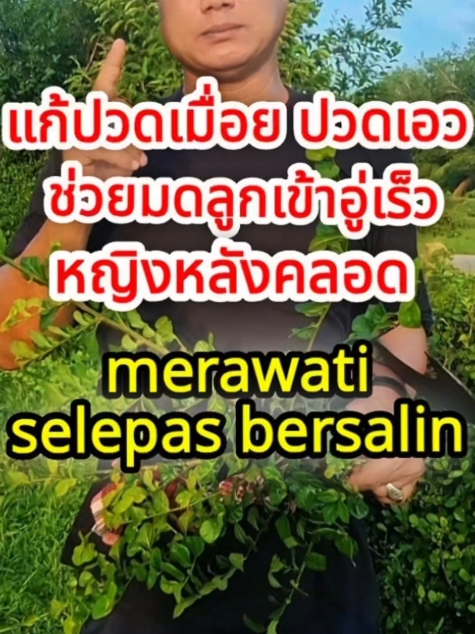 @Paklong Herb