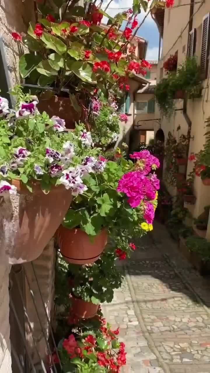 @لحضه وداع