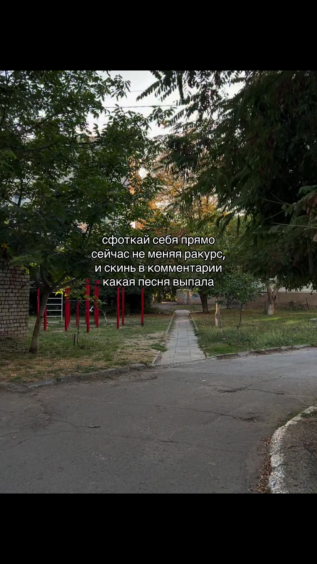 @мур мур 🐾