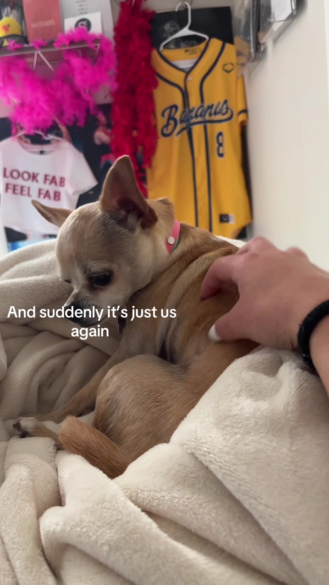 @Gidget/WagWild