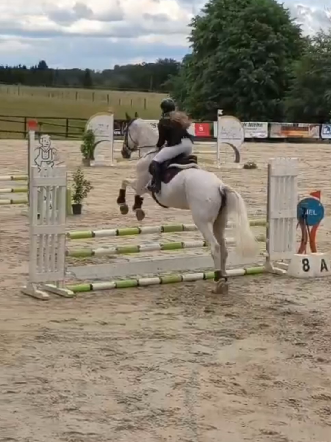 @Spring"Pony"Casha