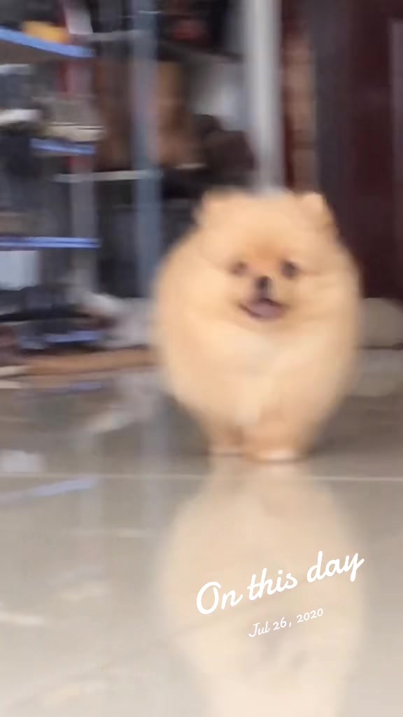 @Thao :|: BoyMomTok