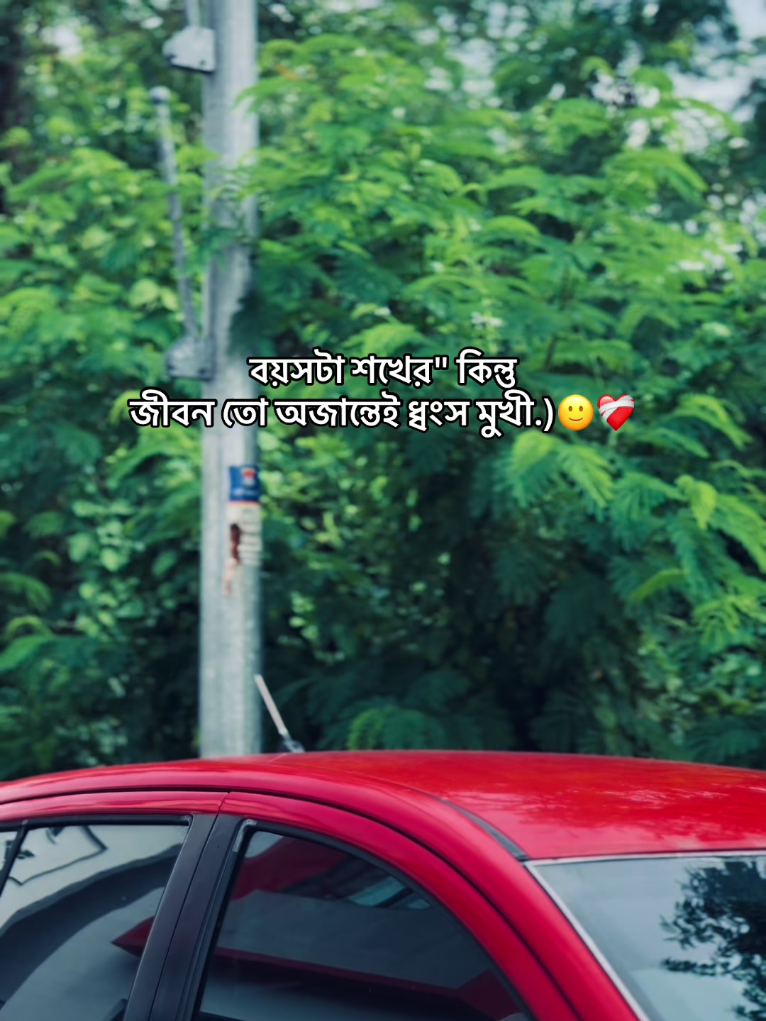 @आईएएन ┊🐥