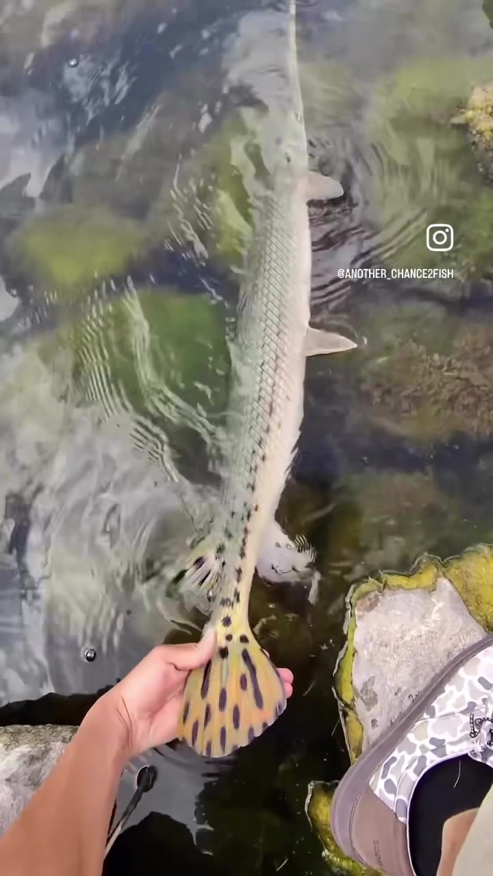 @chance2fish