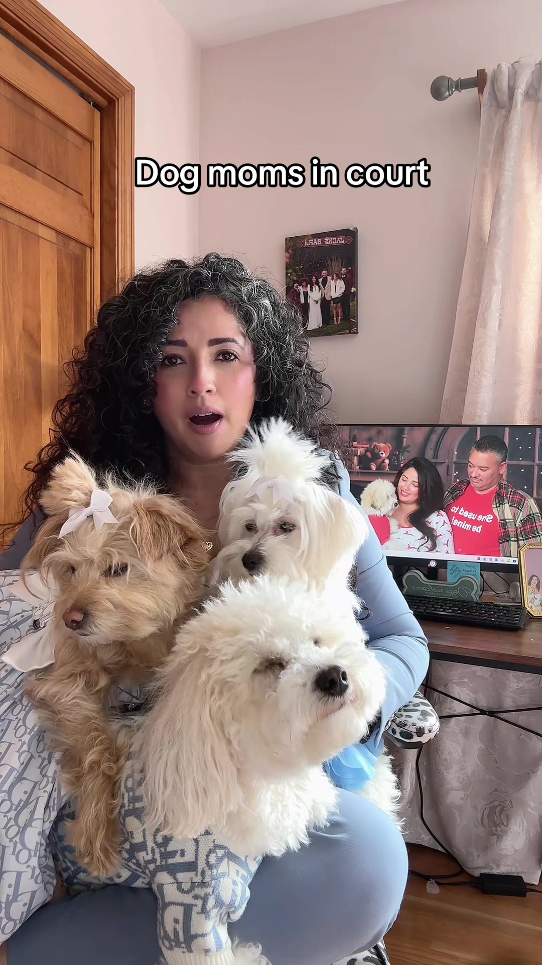 @massimo.the.maltipoo