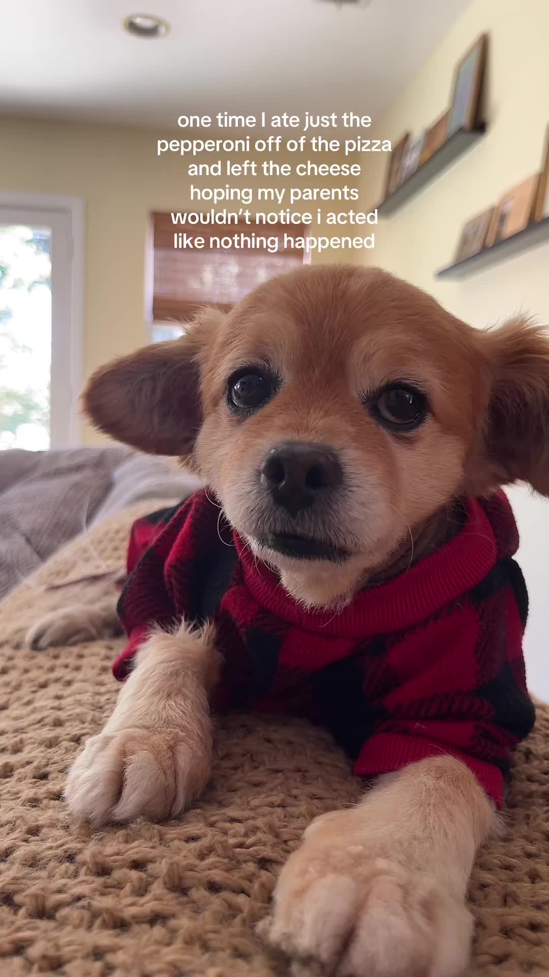 @kingpep