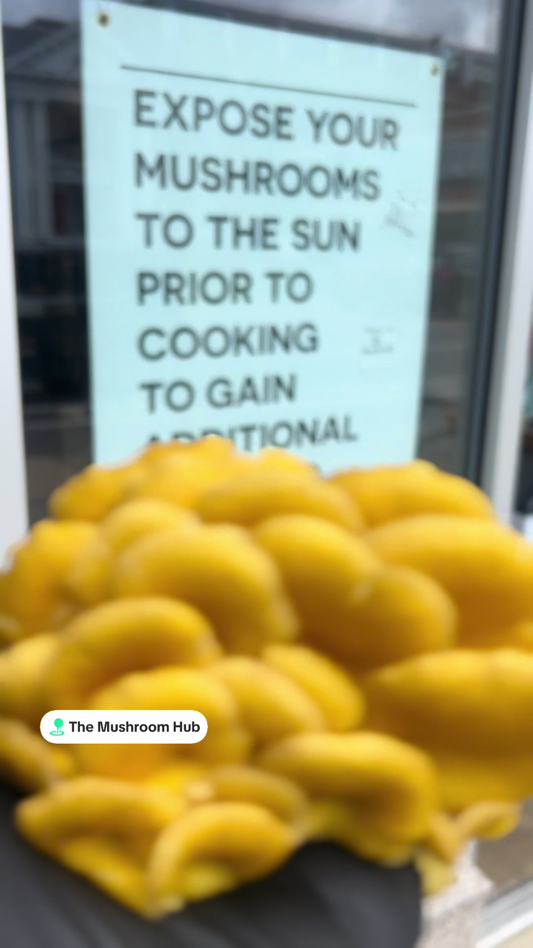 @The Mushroom Hub