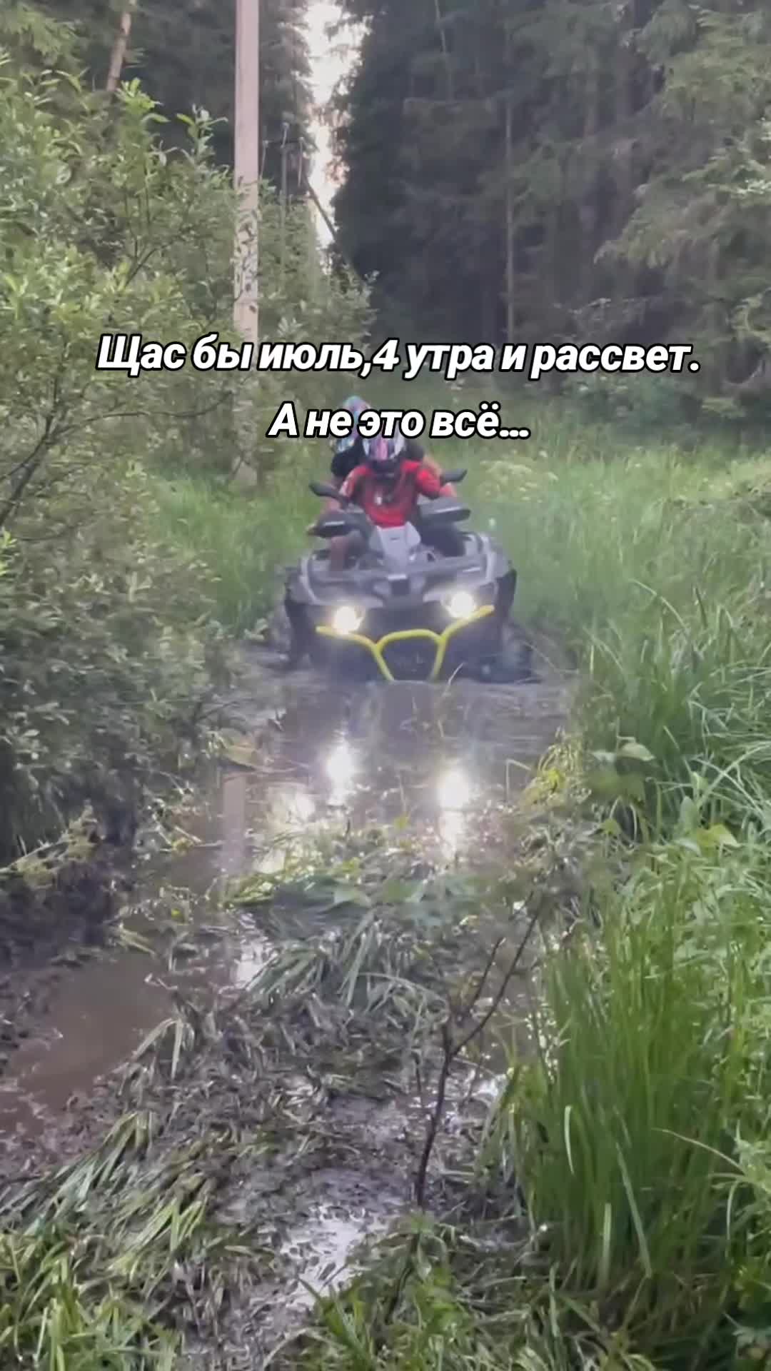 @Николай Гепардович