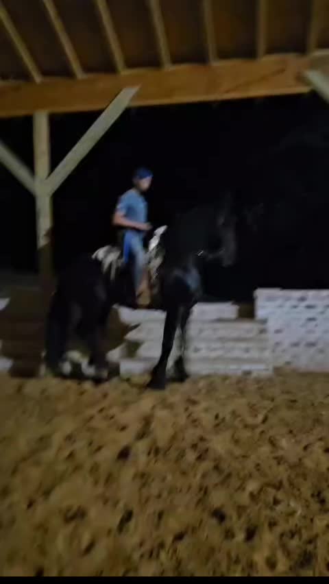 @joserefugiodiaz49