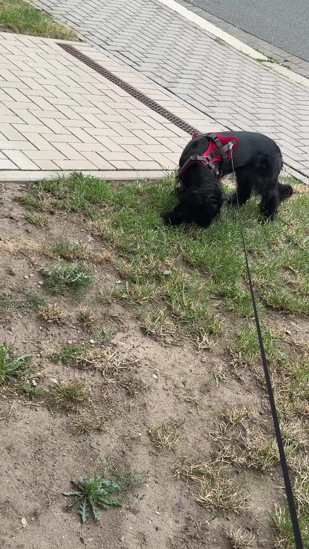 @Мама уточка