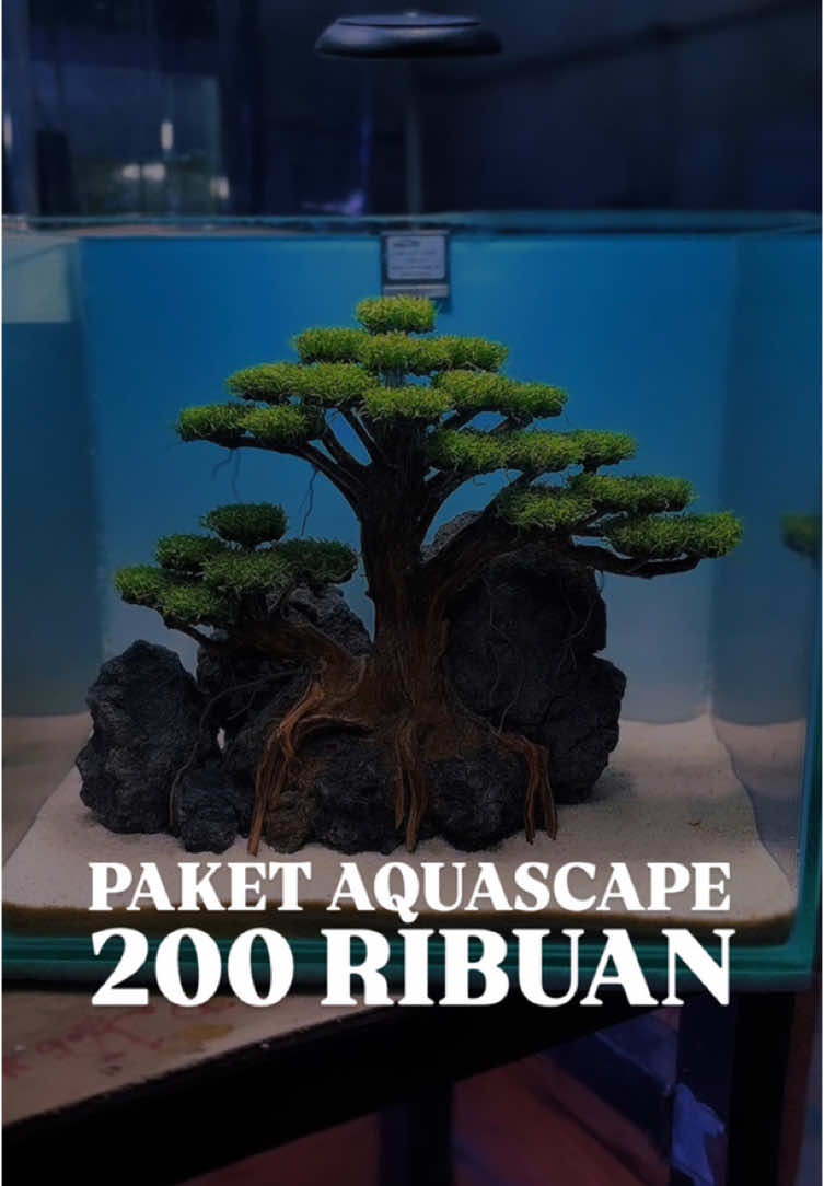 @Rawalumbu Aquatic Design