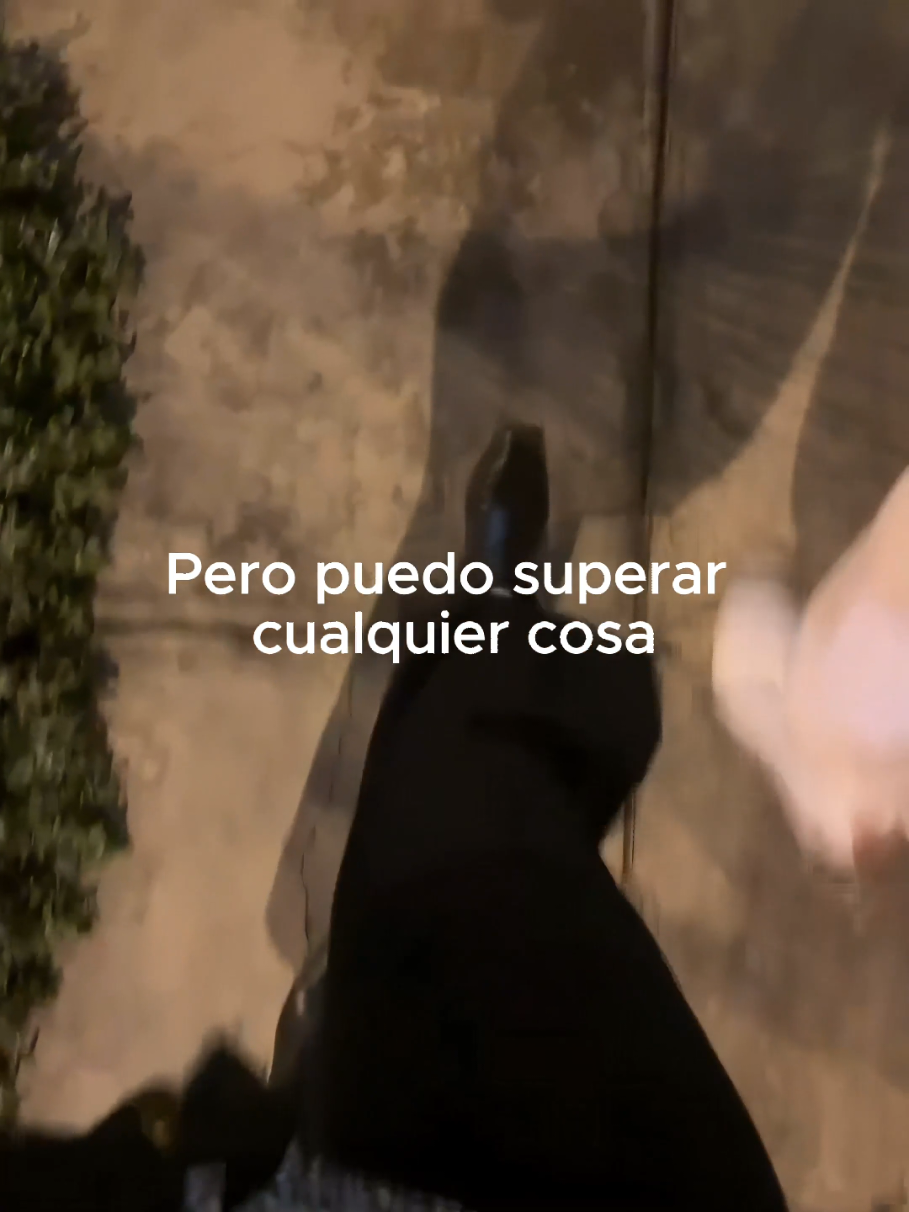 @Tamauta